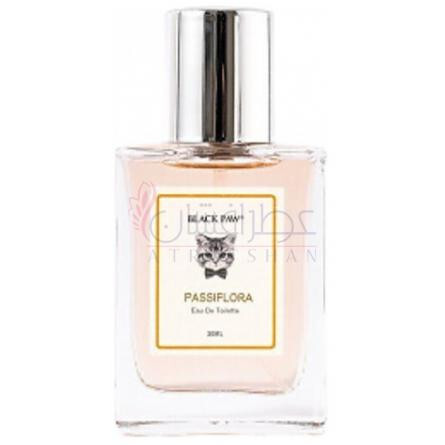 Passiflora-بلک پاو پاسیفلورا