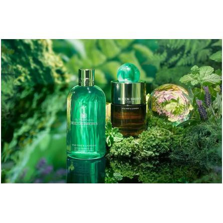 Wild Mint & Lavandin-مولتون براون وایلد مینت اند لوندین