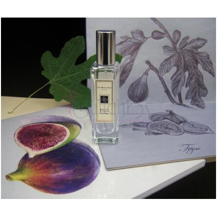 Wild Fig & Cassis-جو مالون وایلد فیگ اند کاسیس