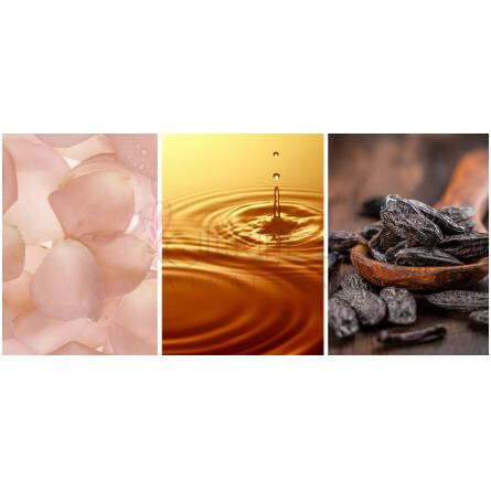 White Tea Eau de Parfum-الیزابت آردن وایت تی ادوپرفیوم