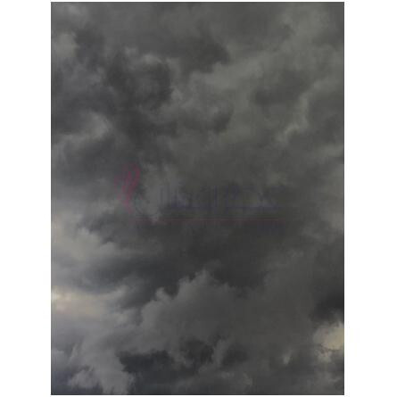 Film Noir-کلاندستین لابوراتوریوز فیلم نویر