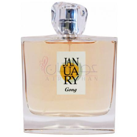 Gong-جَنیوئری سن پروجکت گونگ