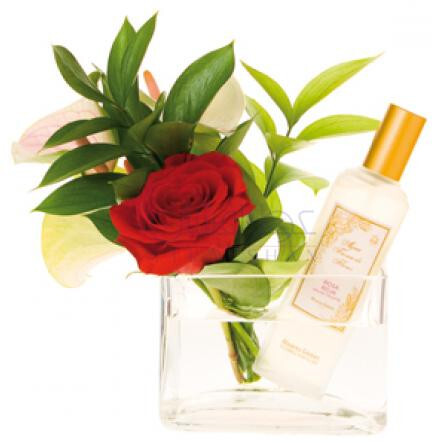 Red Rose-الوارز گومز رد رز