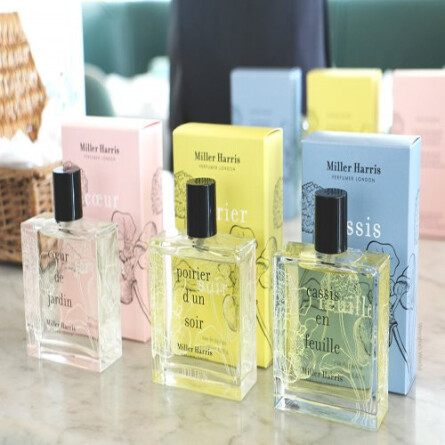 Cassis en Feuille-میلر هریس کاسیس ان فیو ایل