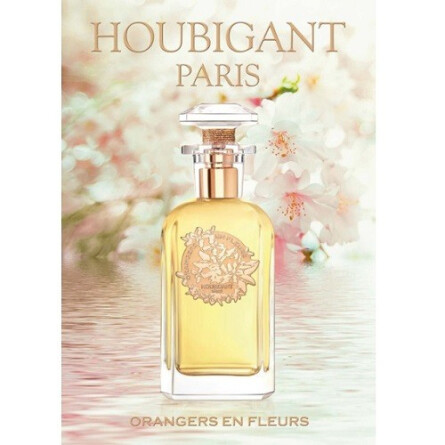 Orangers en Fleurs-هوبیگنت اورنجرز ان فلورز