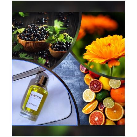 Not a Girl-بای بوزو نات ا گرل