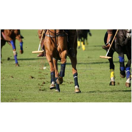 Formula 58-میگلات فرمولا 58