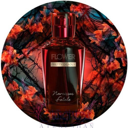 Narcissus Fatale-فلاور دری بری مور نارسیسیس فتال