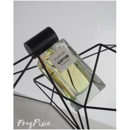 Musician-جنیوم موزیسین