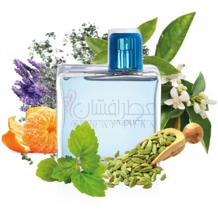 For Him-ماندارینا داک فور هیم