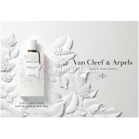 Patchouli Blanc-ون کلیف اند آرپلز پچولی بلان