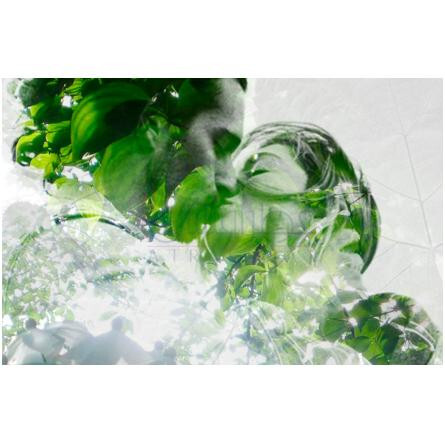 Komorebi 9.1-پیر گیوم پاریس کوموربی 9.1