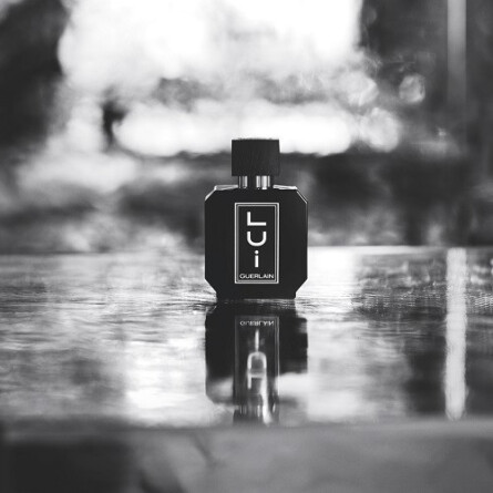 LUI-گرلن لویی