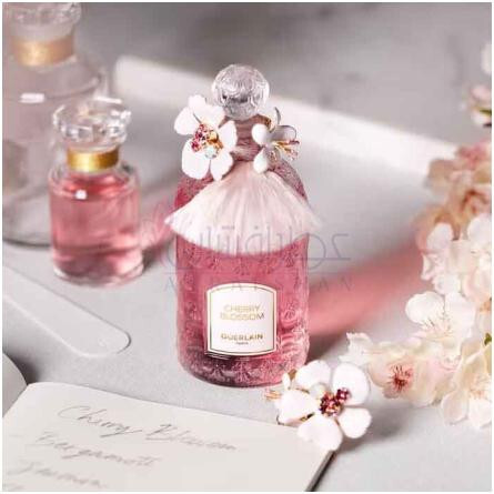 Cherry Blossom Millésime 2024-گرلن چری بلوسوم میلسیم 2024