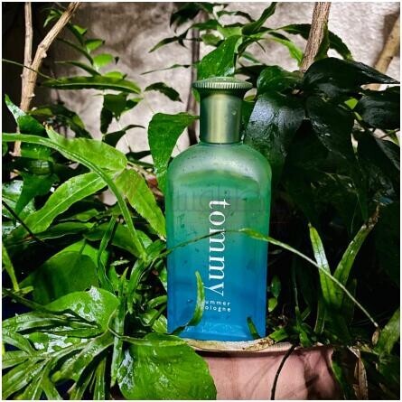 Tommy Summer Cologne 2005-تامی هیلفیگر تامی سامر کلن 2005
