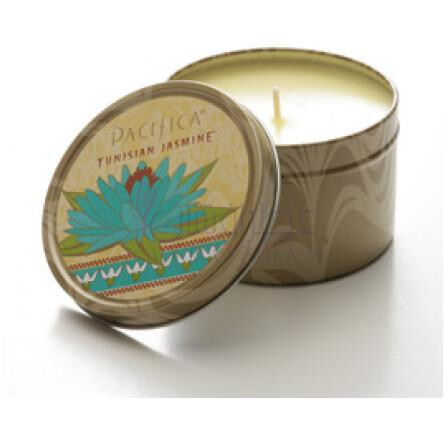 Tunisian Jasmine-پسیفیکا تونسین جاسمین