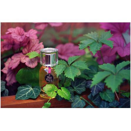 Prends Garde a Toi-ایگوفکتو پریندس گرید ا توی