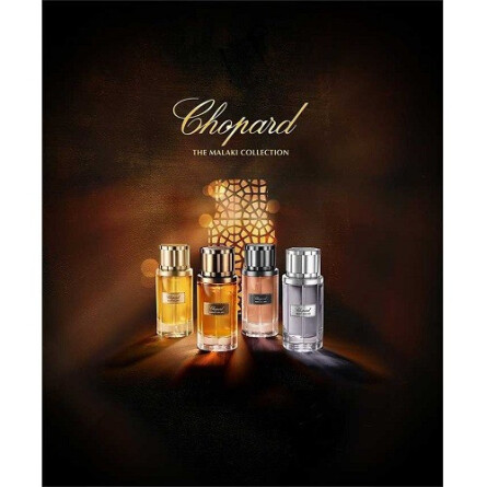 Musk Malaki-چوپارد ماسک ملکی