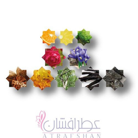 Kajal Eau de Parfum-کژال (کجل) ادو پرفیوم