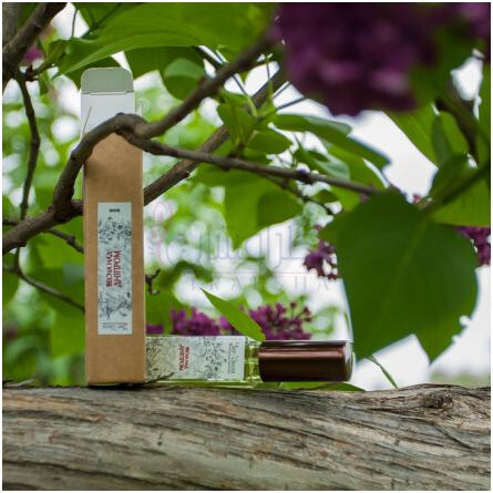 Spring over the Dnieper / Весна над Дніпром-چار-زیلیا اسپرینگ اور دنیپر