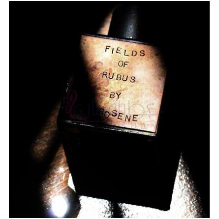 Fields of Rubus-کِروسین فیلدز اف روباس