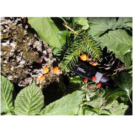 Border with Austria Граница с Австрией-بووارد.پرفیومز بوردر ویت استریا