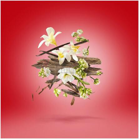 Amphorae 16-زرجوف امفورای 16