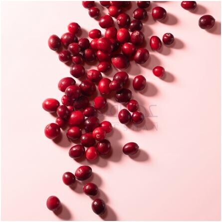 L'Imperatrice Royale-دولچه گابانا ال ایمپرتریس رویال