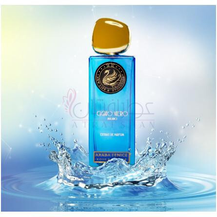 Araba Fenice-سیگنو نرو عربیا فینس