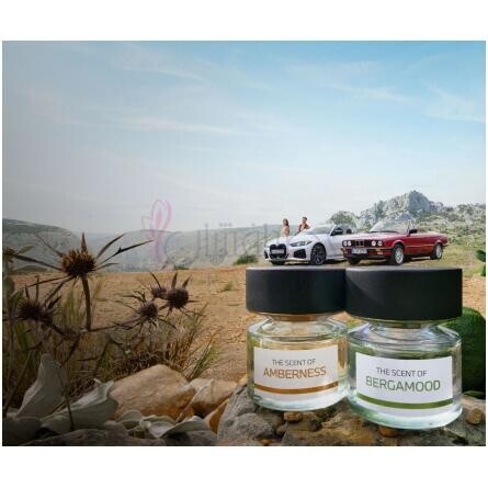 Bergamood-بی ام و فرگرنرسز برگامود