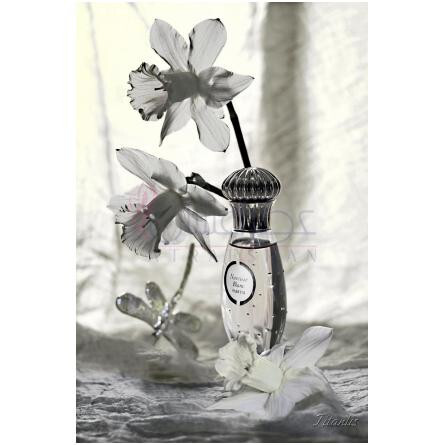 Narcisse Blanc-کارون نارسیس بلان