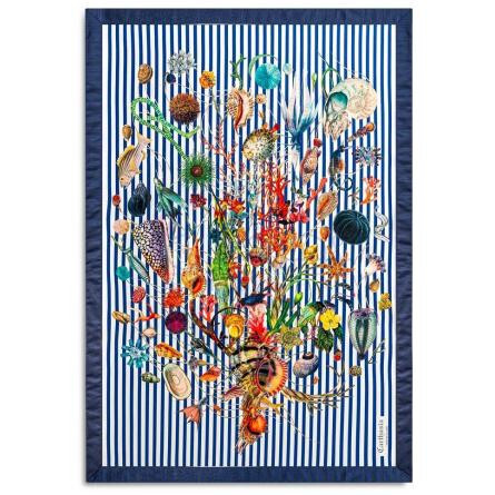 A'mmare-کارتوزیا اماره