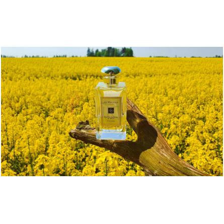 White Jasmine & Mint-جو مالون وایت جاسمین اند مینت