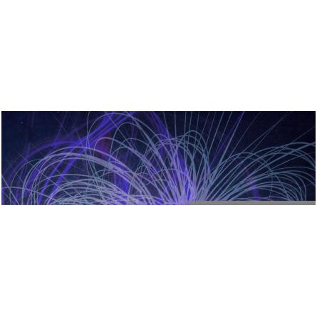 Silver Light-لین یانگ سیلور لایت