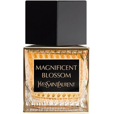 ysl international