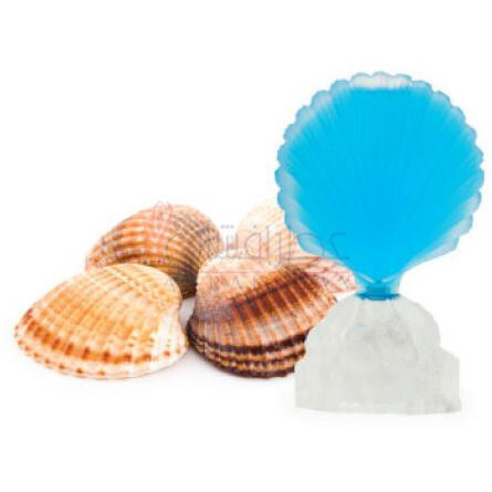 Shell-سی جولز شل