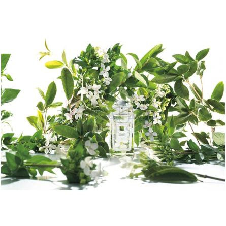 Osmanthus Blossom-جو مالون اوسمانتوس بلوسوم