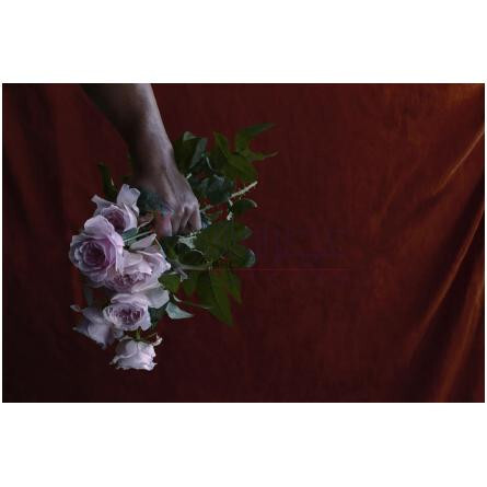 Purotu Rose-کیوریونویر پورتو رز