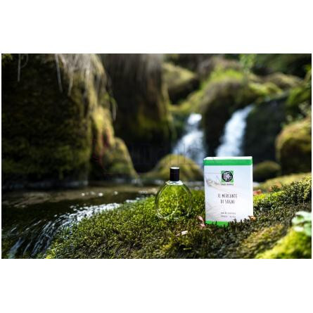 Il Mercante di Sogni-دی اف جی 1924 2 مرکنت دی سوگنی