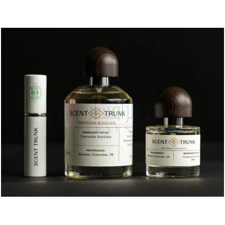 Trackside Buddleia-سنت ترانک ترکساید بادلیا