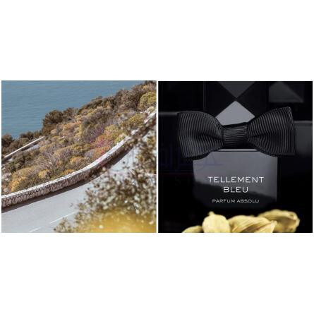 Tellement Bleu Parfum Absolu-الکس سیمون تلمنت بلو پارفوم ابسولو
