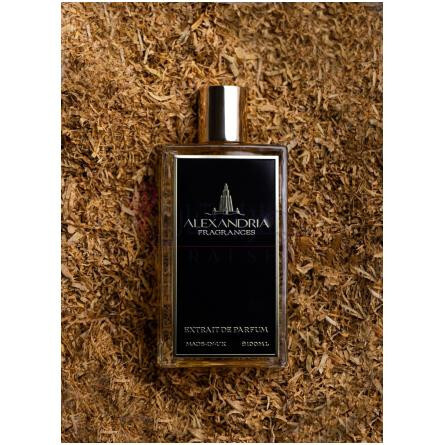 Arabian Horse-الکساندریا فرگرنسز عربین هورس