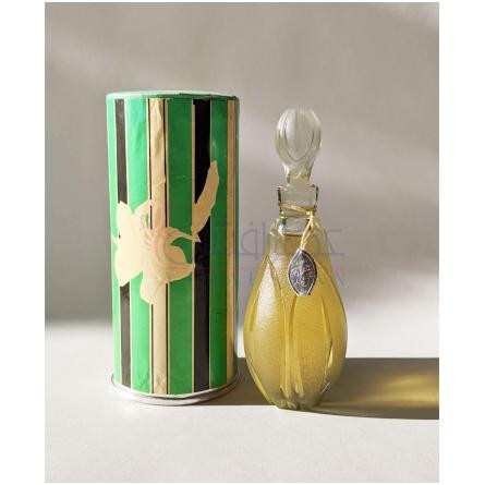 White lily – Белая лилия-رد کارنیشن وایت لیلی