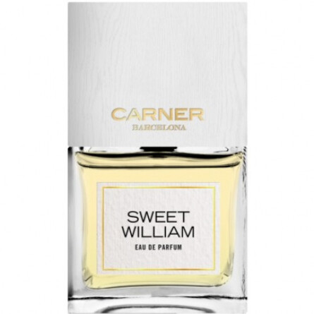 Sweet William-کارنر بارسلونا اسویت ویلیام