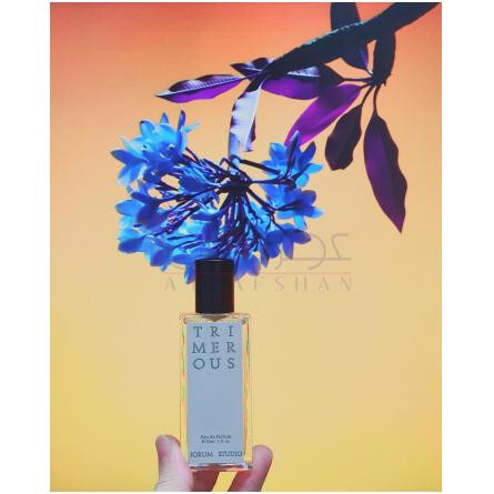 Trimerous-جوروم استودیو تریمروس