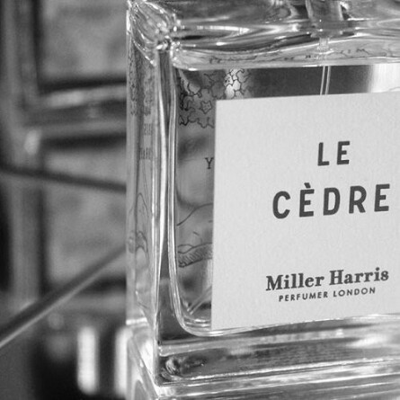 Le Cedre-میلرهریس له سدر