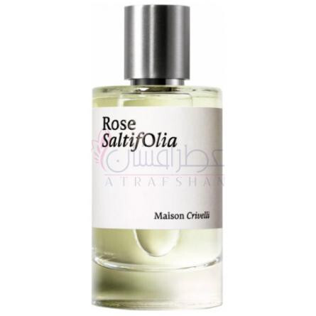 Rose SaltifOlia-میسون کریویلی رز سالتیفولیا