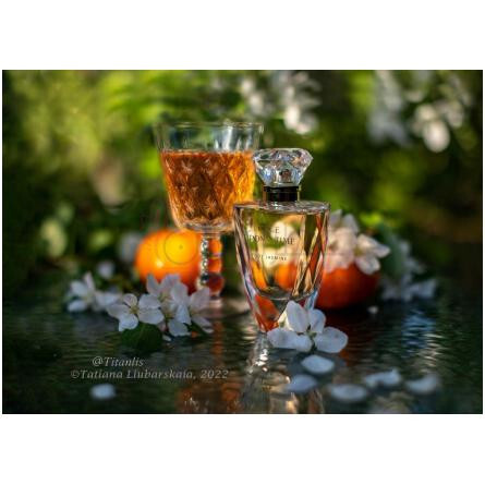 Once Upon A Time 1001 Jasmine-بروکارد وانس اپن ا تایم  1001 جاسمین