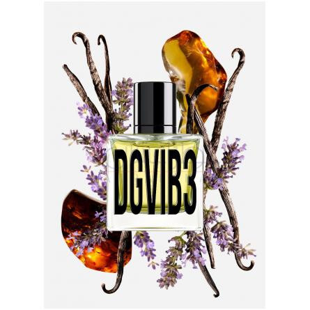 DGVIB3 Eau de Parfum-دولچه گابانا دی جی وی آی بی 3 ادوپرفیوم