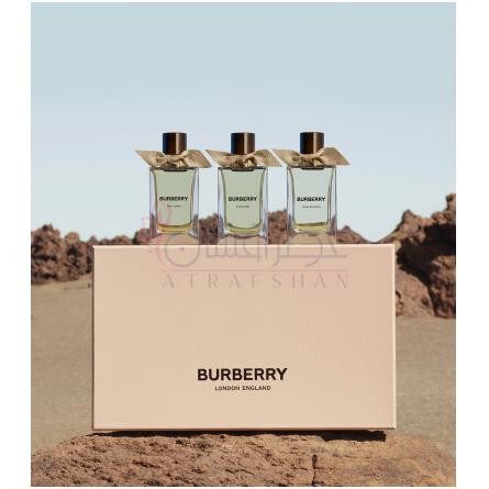 Snow Blossom-باربری اسنو بلوسوم